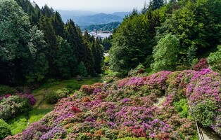 640px-conca_rododendri_oasi_zegna