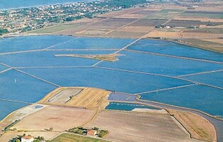 saline_cervia